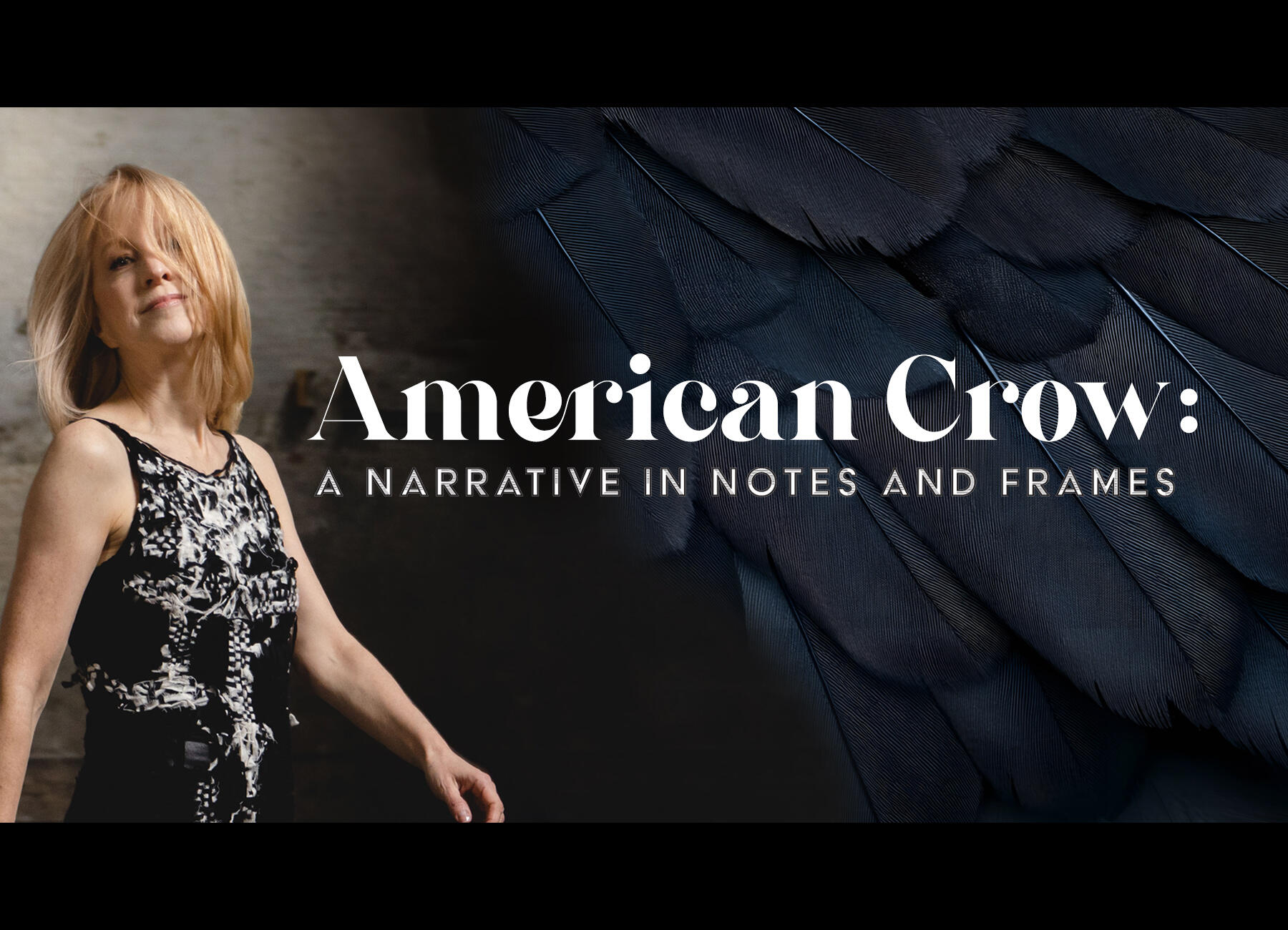 American Crow