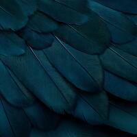 ArtistShare® Bronze Participant 