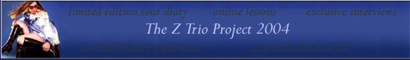 The Z Trio Project