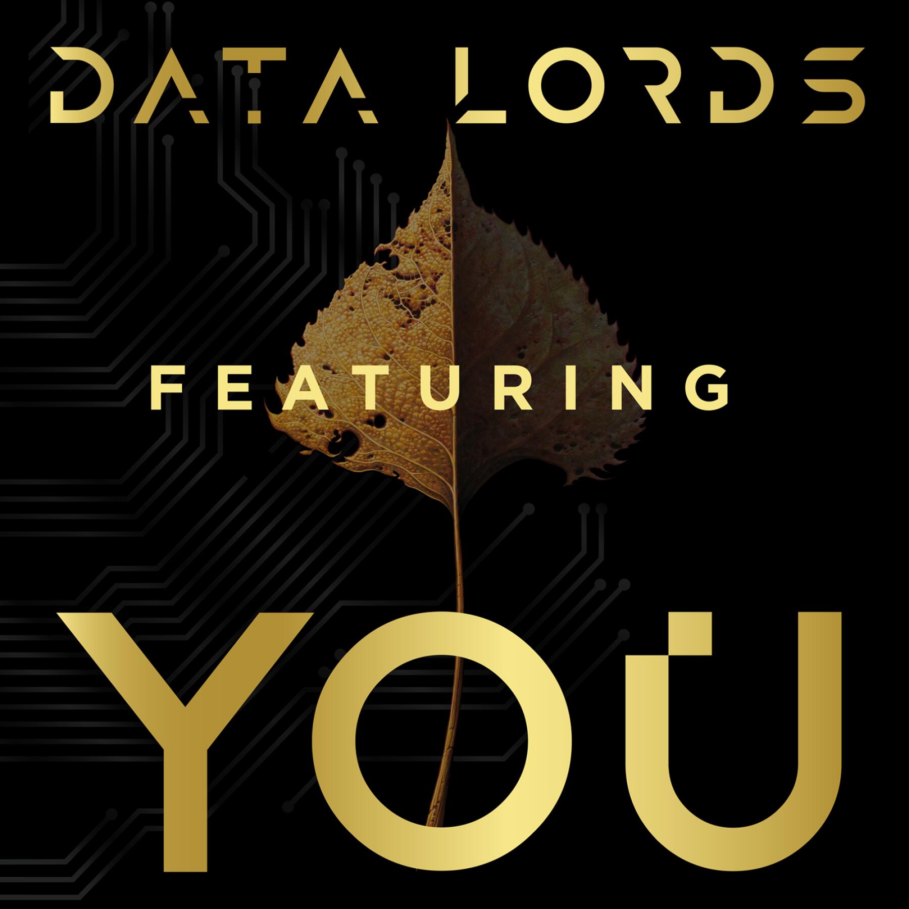 Maria Schneider Orchestra Featuring You - Data Lords